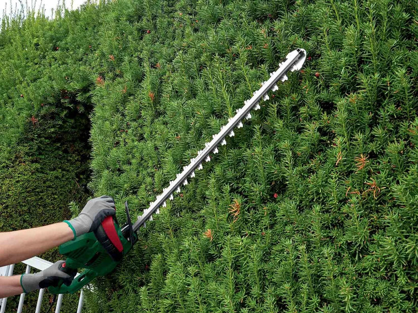 COUPE-HAIE ÉLECTRIQUE PARKSIDE® 650 W